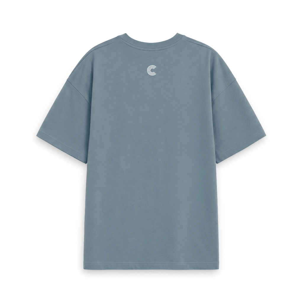 Stone Blue Printed T-shirt Back