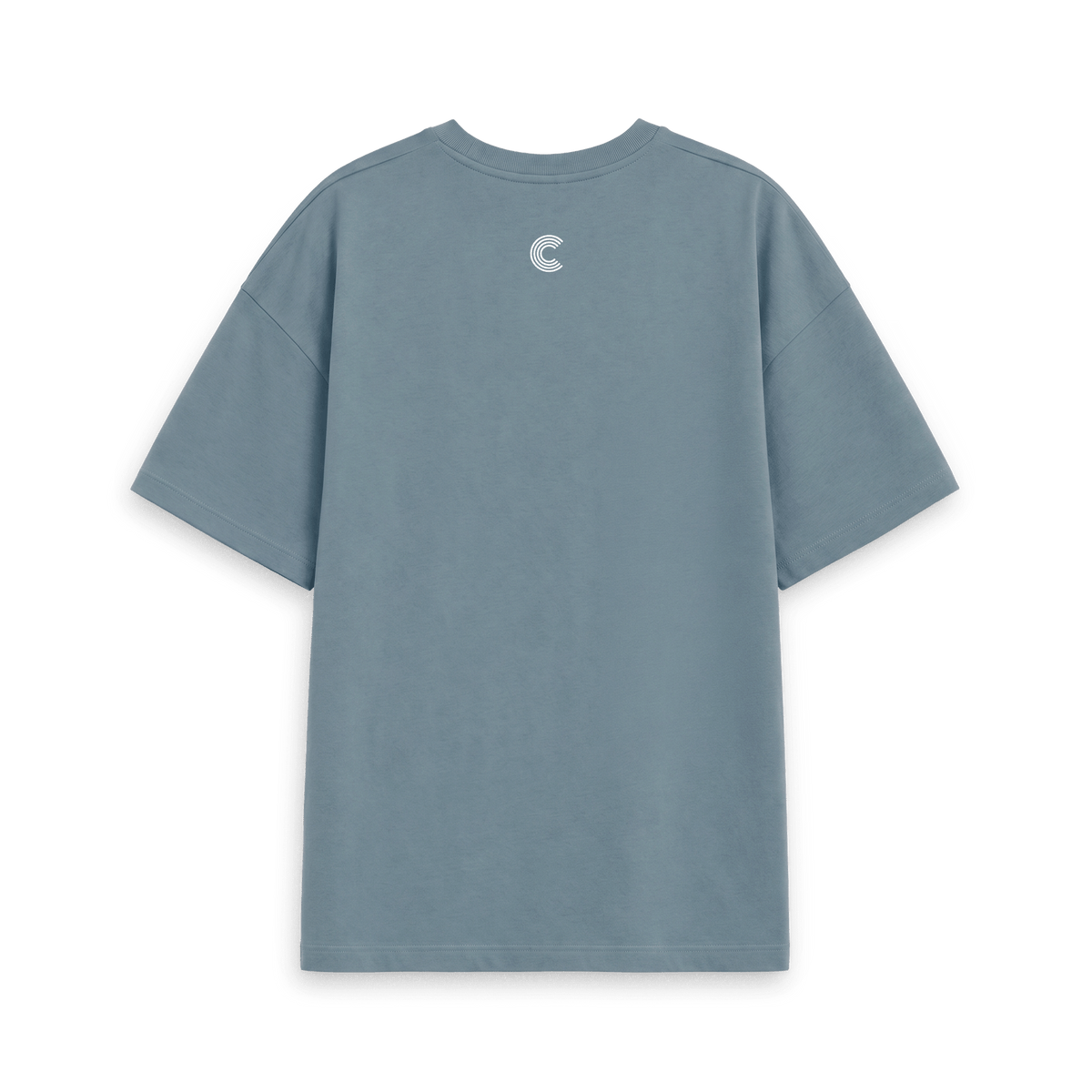Stone Blue Printed T-shirt Back