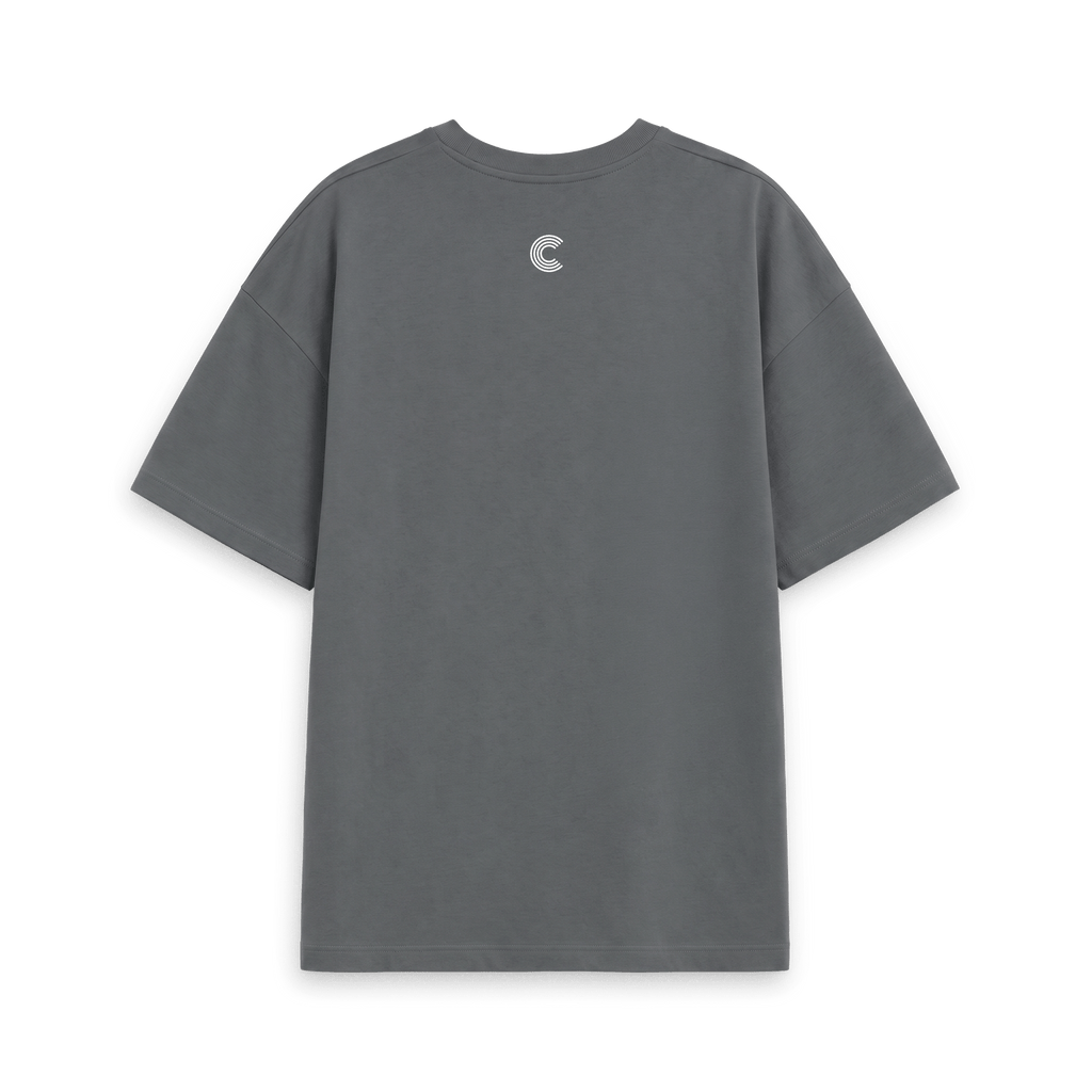 Slate Grey Printed T-shirt Back