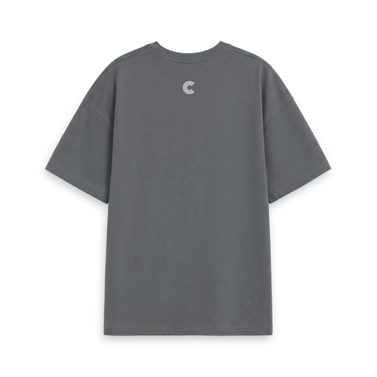 Slate Grey Printed T-shirt Back